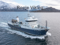 Ronja Viking