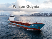 Wilson Gdynia