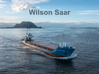 Wilson Saar