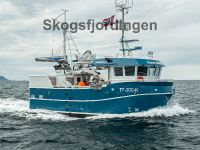 Skogsfjordingen