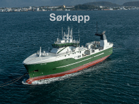 Sørkapp