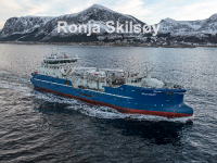 Ronja Skilsøy