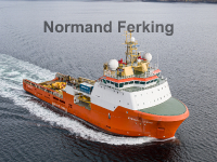 Normand Ferking