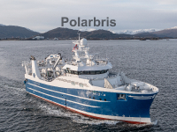 Polarbris