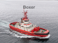 Boxer