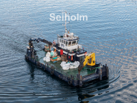 Seiholm