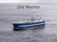 Old Warrior