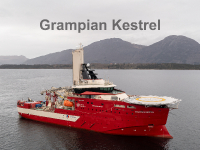 Grampian Kestrel