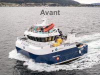 Avant