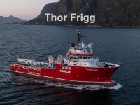 Thor Frigg