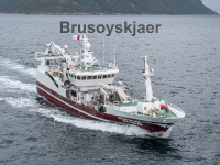 Brusoyskjaer