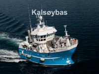 Kalsøybas