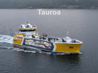 Tauroa