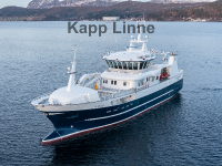 Kapp Linne