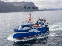 Svenør