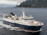 Ava Pearl