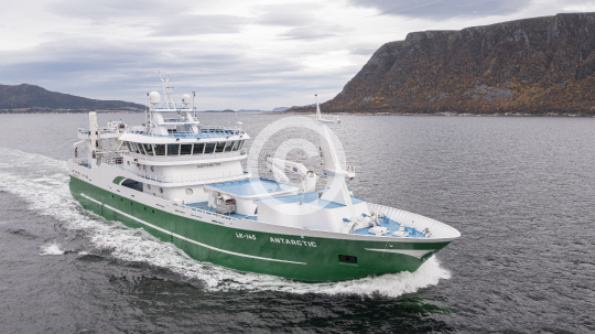 Antarctic 973
