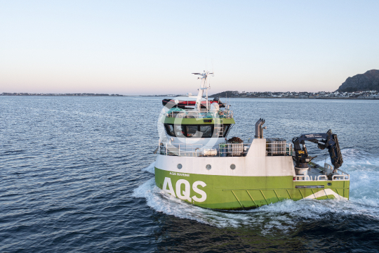 Aqs Marine 496