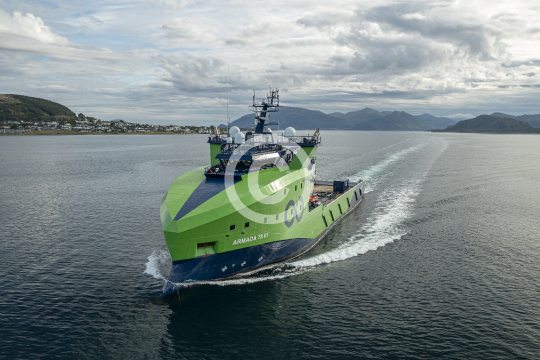 Armada 78 01 692