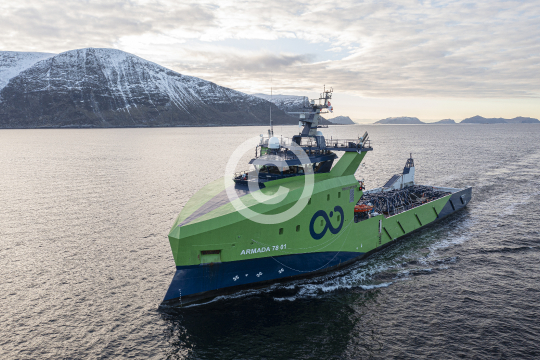 Armada 7801 297