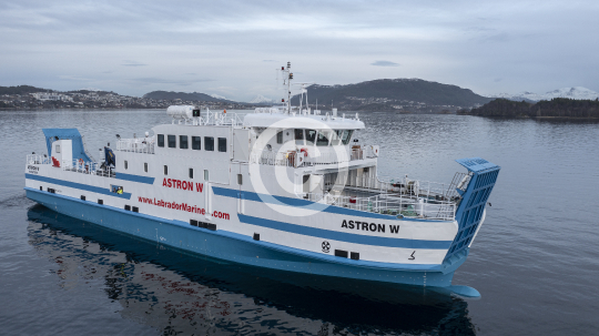 Astron W 298