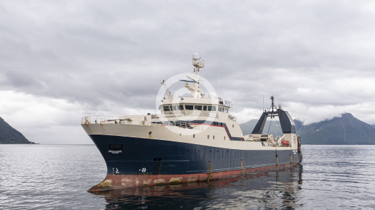 Atlantic Star 696