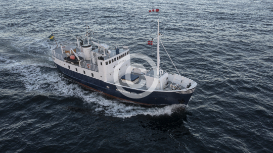 Bergsund 55