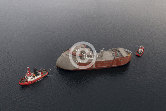 Bukken og Buddy 849