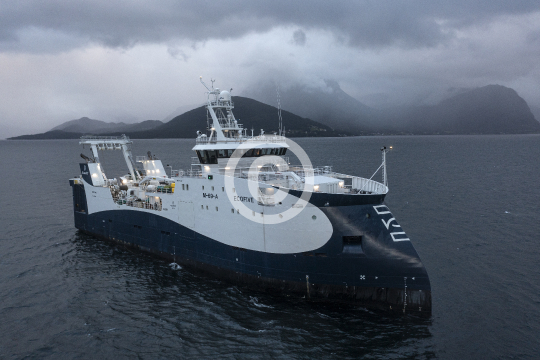 Ecofive 91