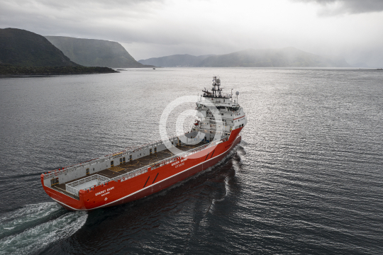 Energy Swan 450