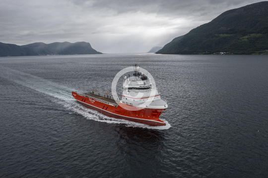 Energy Swan 461