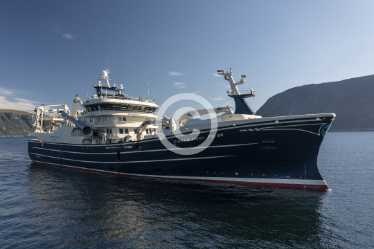Finnur Fridi 591