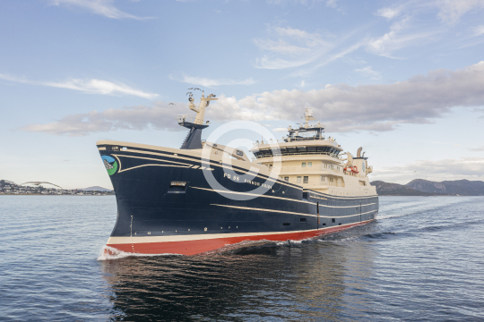Finnur Fridi 702