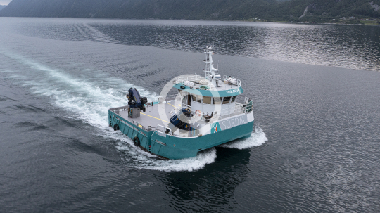 Fox Aqua 104