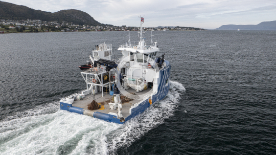 Frøy Leader 447