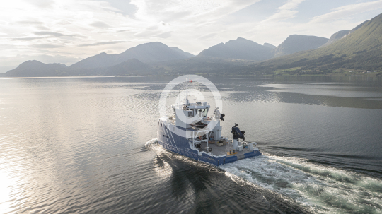 Frøy Leader 615