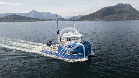 Frøy Leader 673