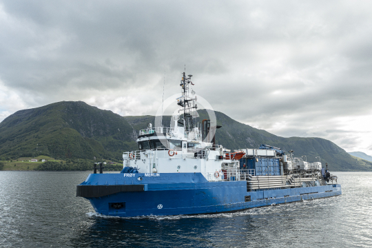 Frøy Merlin 333
