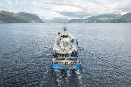 Frøy Merlin 341
