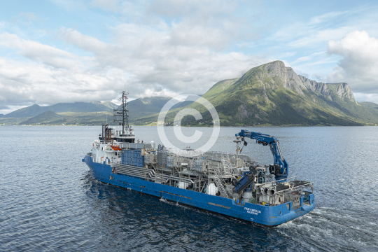 Frøy Merlin 345