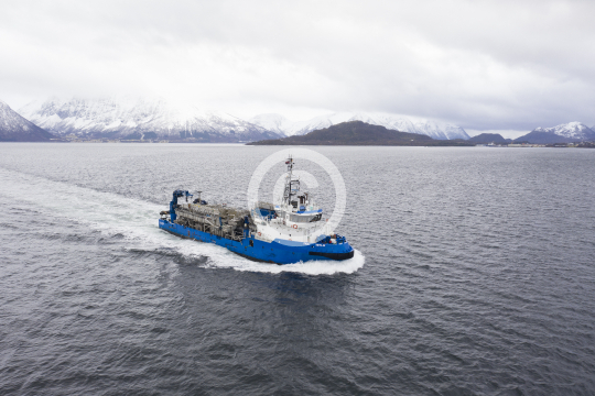 Frøy Merlin 361