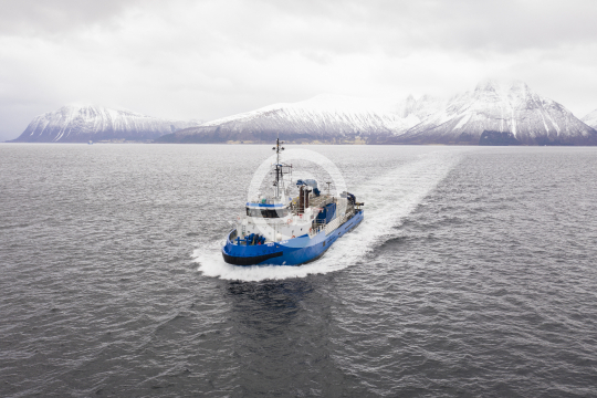 Frøy Merlin 365