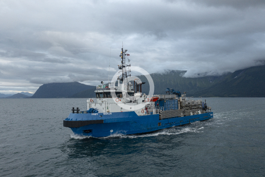 Frøy Merlin 420