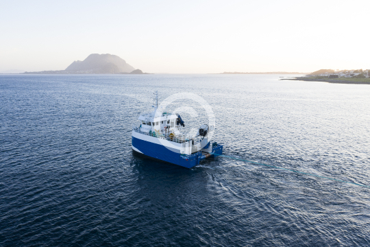 Frøy Neptun 80