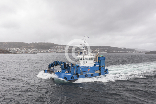 Frøy Pioner 623