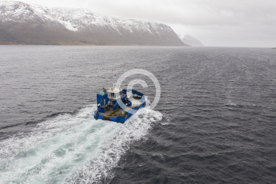 Frøy Pioner 628