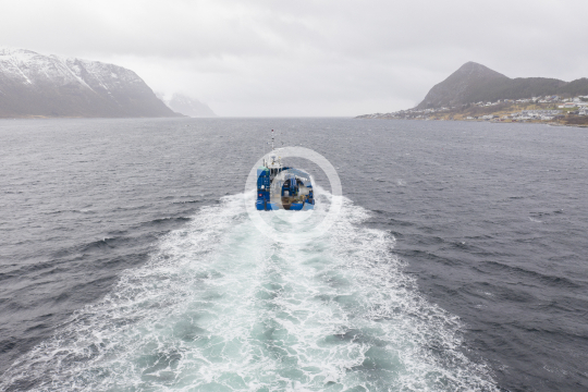 Frøy Pioner 635