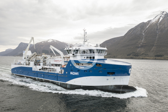 Frøy Saga 810