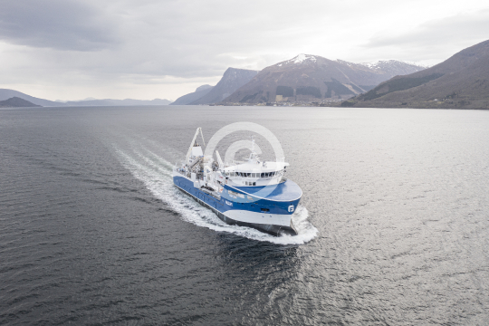 Frøy Saga 812