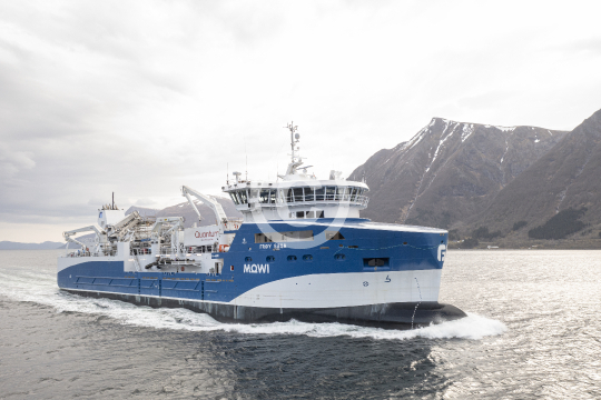 Frøy Saga 824